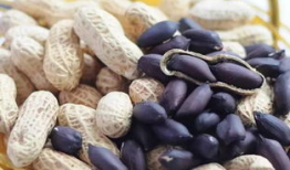 麻豆瓜,揭秘网红美食背后的故事